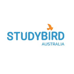 logo studybird